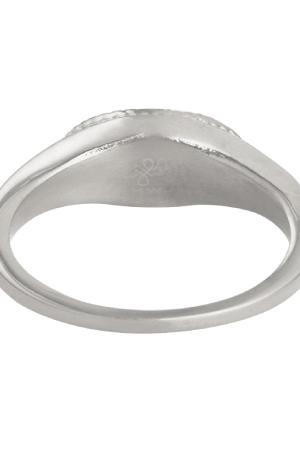 Ring Always Remember #16 Argenté Acier Inoxydable h5 Image2