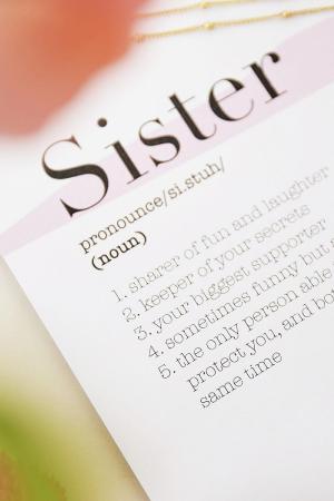 Bracelet Sisters Don't Need Words Acier Inoxydable h5 Image3