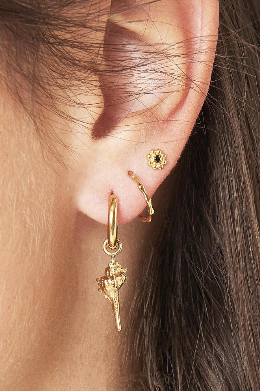 Boucles D'oreilles Ocean Shell Argenté Acier Inoxydable h5Image2