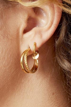 Boucles D'oreilles Sophisticated Acier Inoxydable h5 Image2