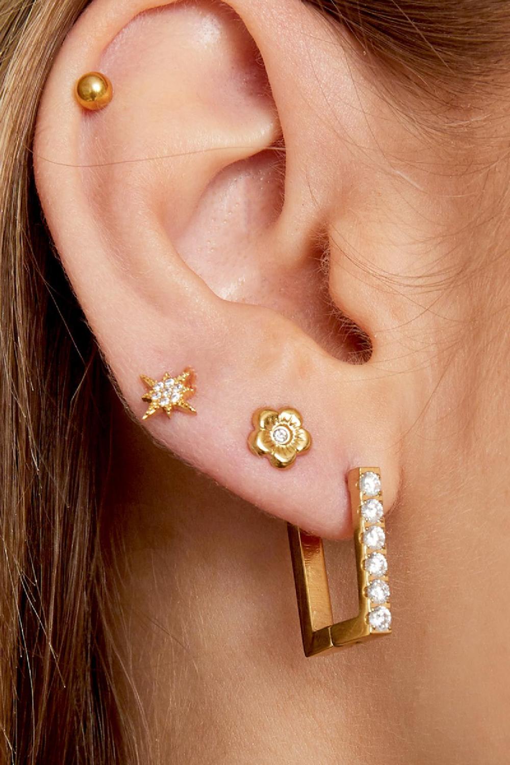 Boucles D'Oreilles Fleur En Acier Inoxydable Image2