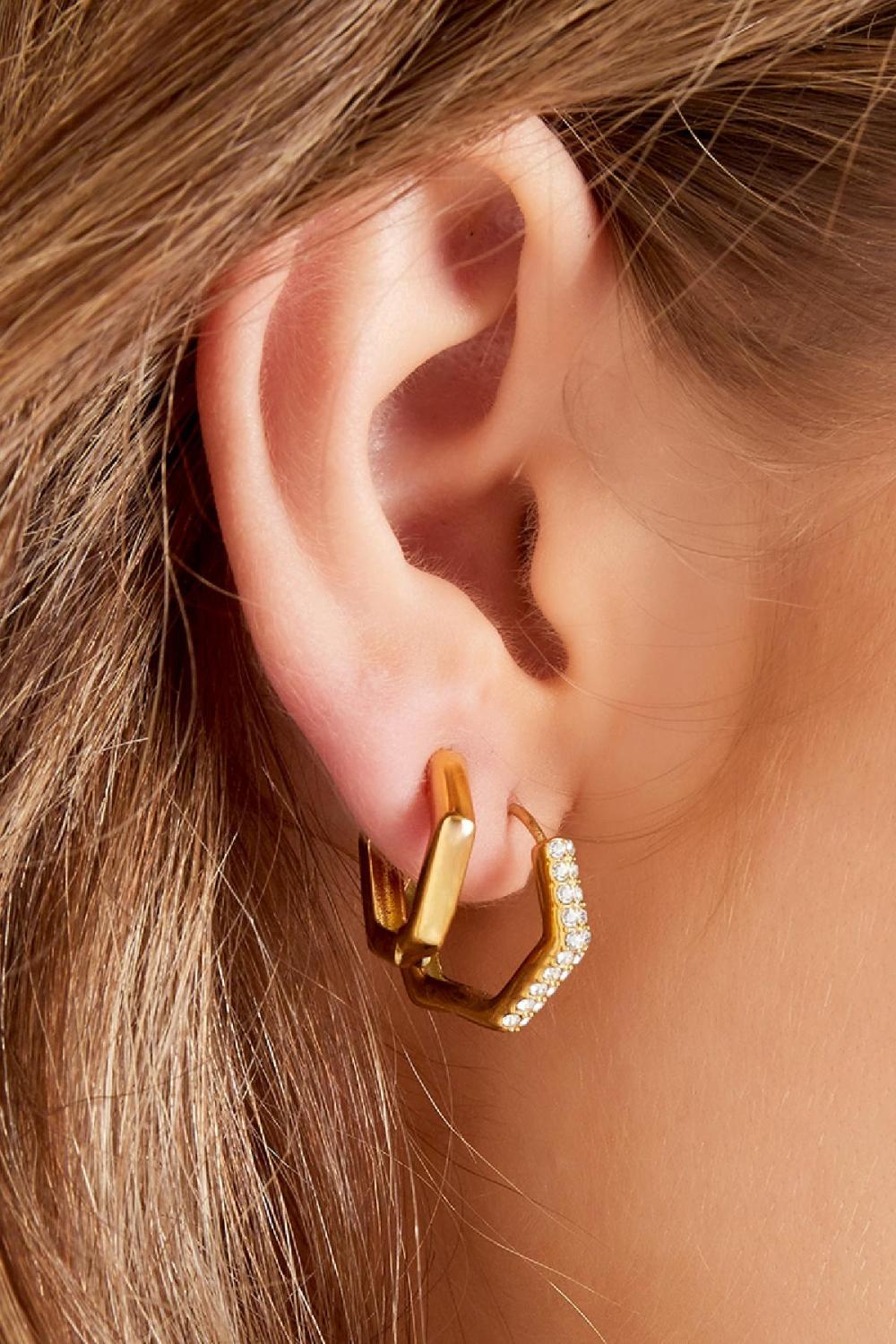 Boucles D'oreilles En Acier Inoxydable Argenté h5Image3