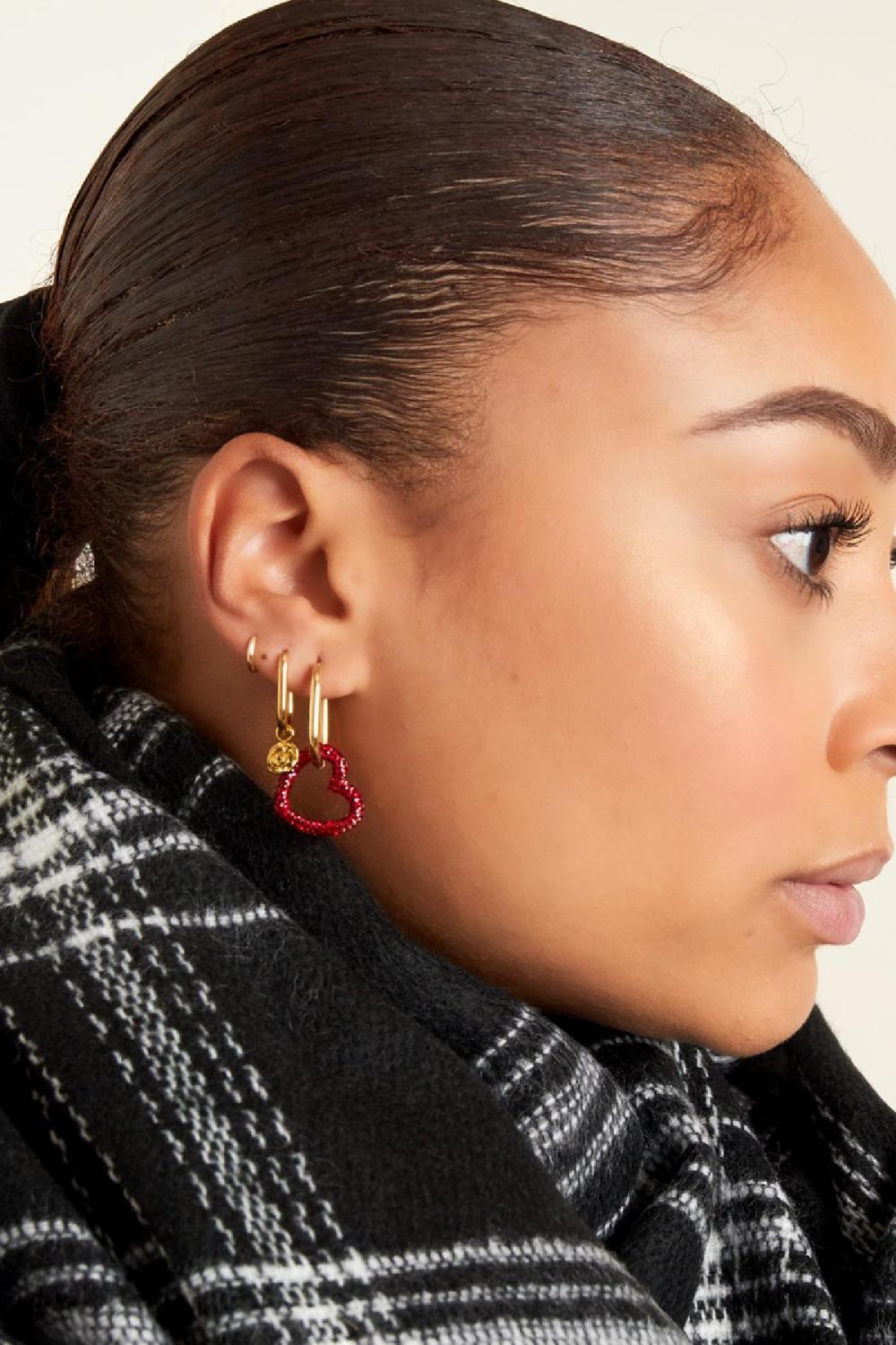 Boucles D'oreilles Roses Acier Inoxydable h5Image2
