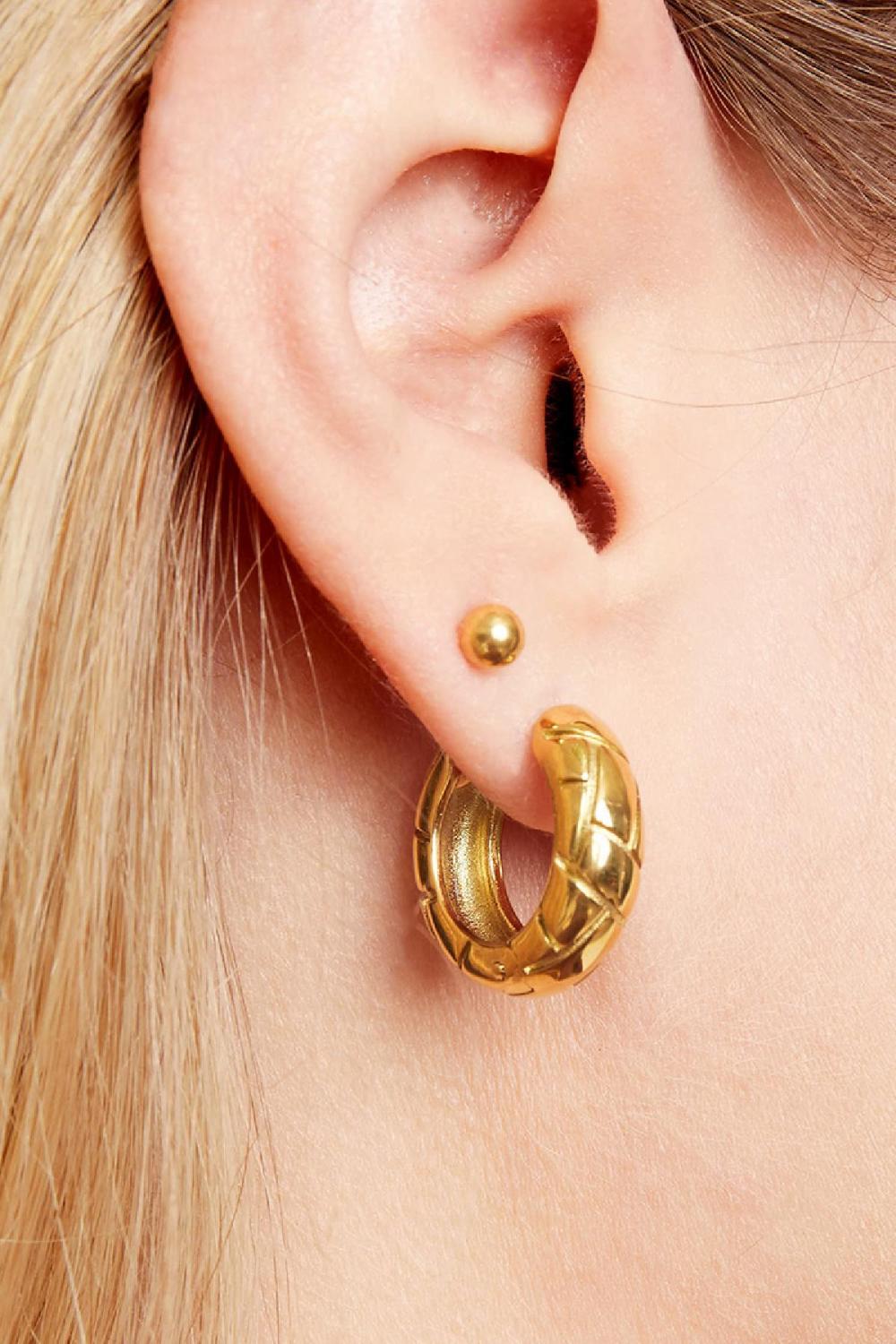 Boucles D'oreilles Tire Argenté Acier Inoxydable Image2