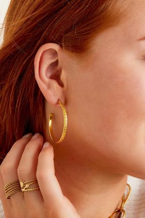 Boucles D'oreilles Créoles En Acier Inoxydable Argenté h5 Image2